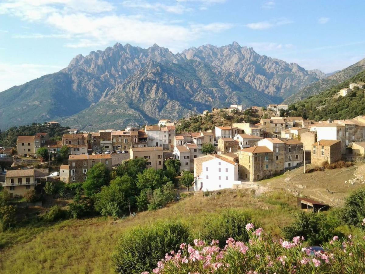 Maison De Village Moltifao